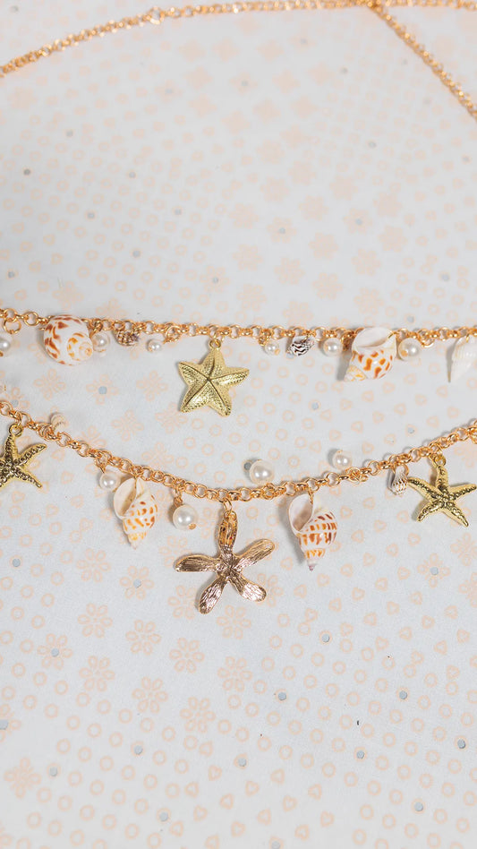 CORREA DAMA - COR446