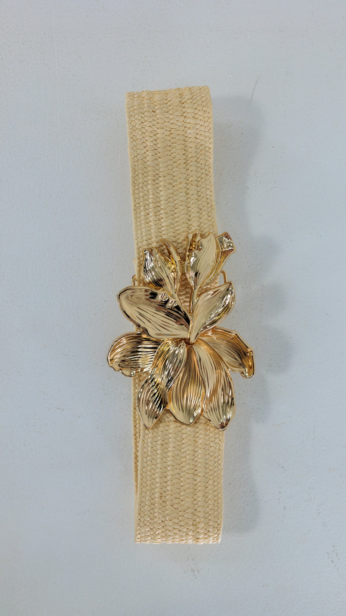 Correa dama - COR530